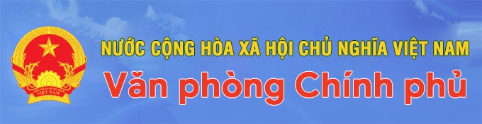banner2-1